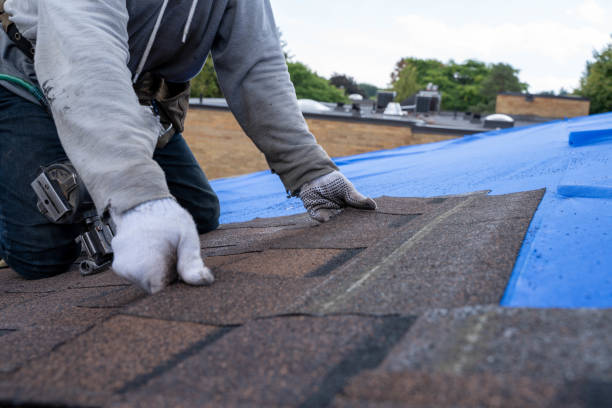 Best Green or Eco-Friendly Roofing Solutions  in Jesup, IA